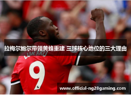 拉梅尔鲍尔带领黄蜂重建 三球核心地位的三大理由 拉梅尔鲍尔带领黄蜂重建 三球核心地位的三大理由