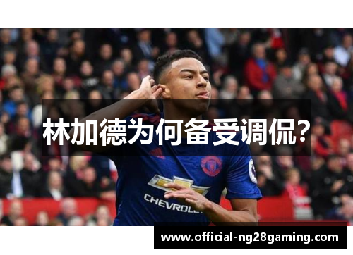 林加德为何备受调侃? 林加德为何备受调侃?