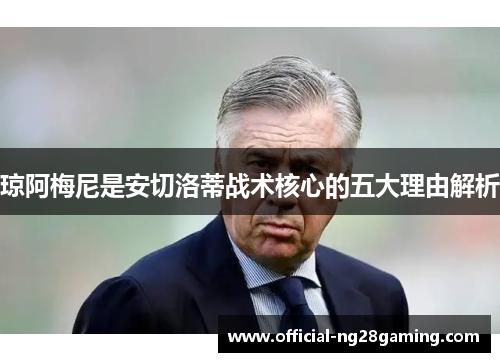 琼阿梅尼是安切洛蒂战术核心的五大理由解析