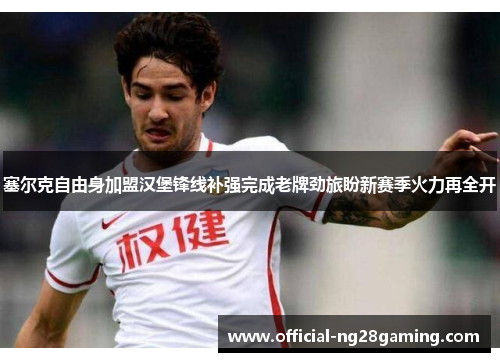 塞尔克自由身加盟汉堡锋线补强完成老牌劲旅盼新赛季火力再全开 塞尔克自由身加盟汉堡锋线补强完成老牌劲旅盼新赛季火力再全开