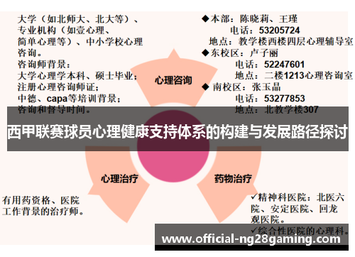 西甲联赛球员心理健康支持体系的构建与发展路径探讨